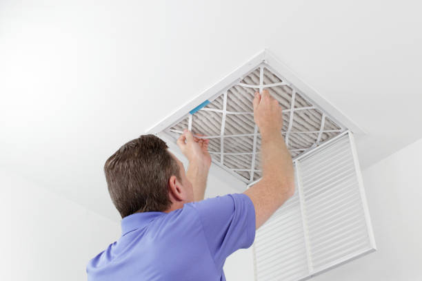 Best Dryer Vent Cleaning in Painesville, OH